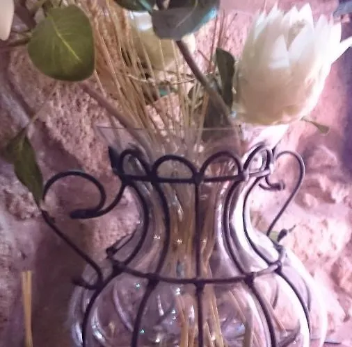 Al Pinheiro 66 * Oporto