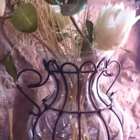 Al Pinheiro 66 * ポルト